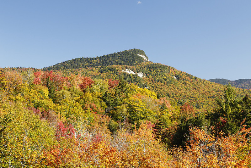 p299643394-4.jpg