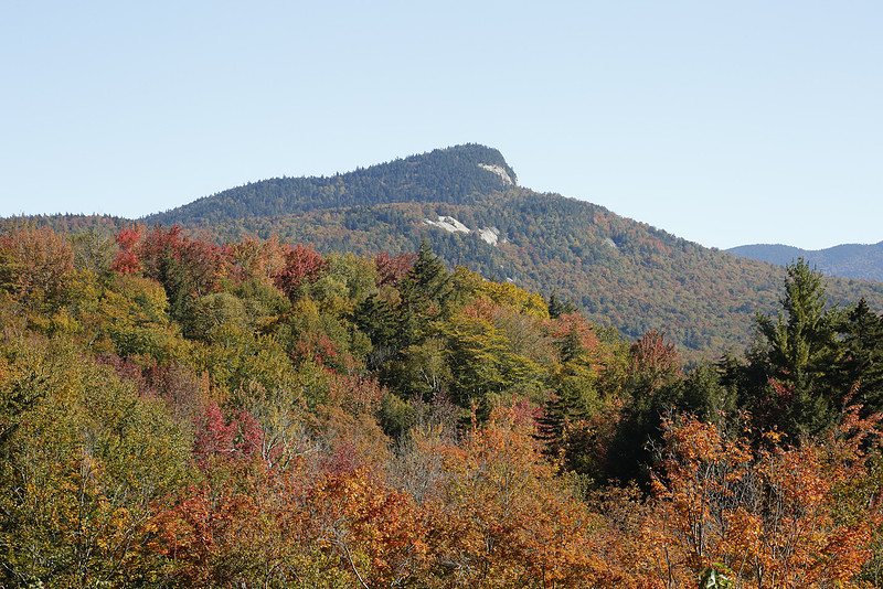 p10148335-4.jpg